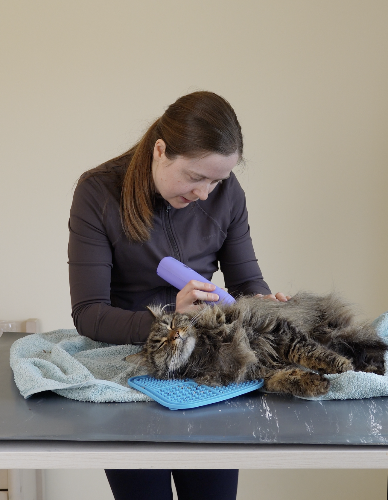 Milou-kattentrimsalon-Aalter