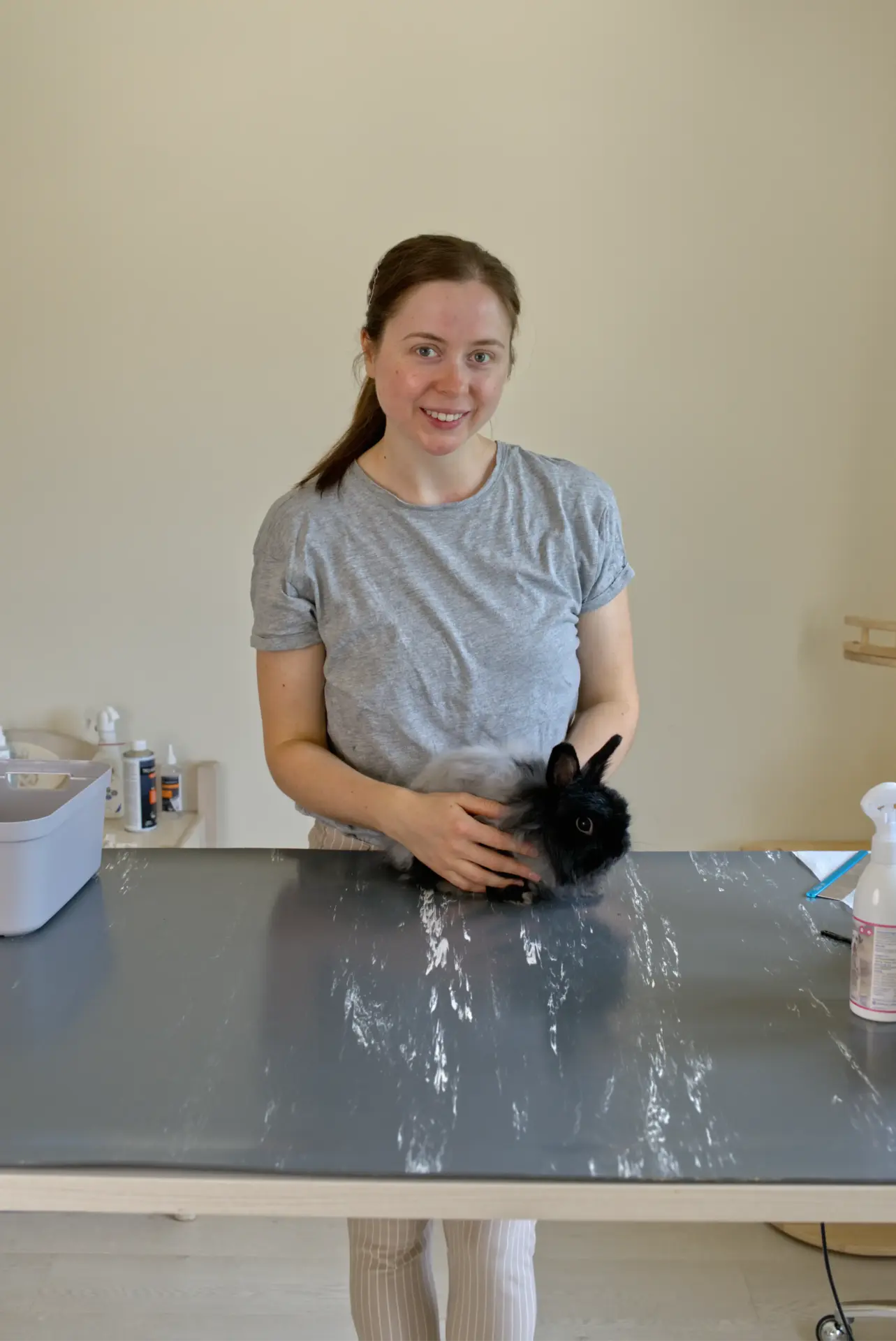 Pablo Teddydwergkonijn op bezoek in het trimsalon voor katten en konijnen - Droomvacht Aalter
