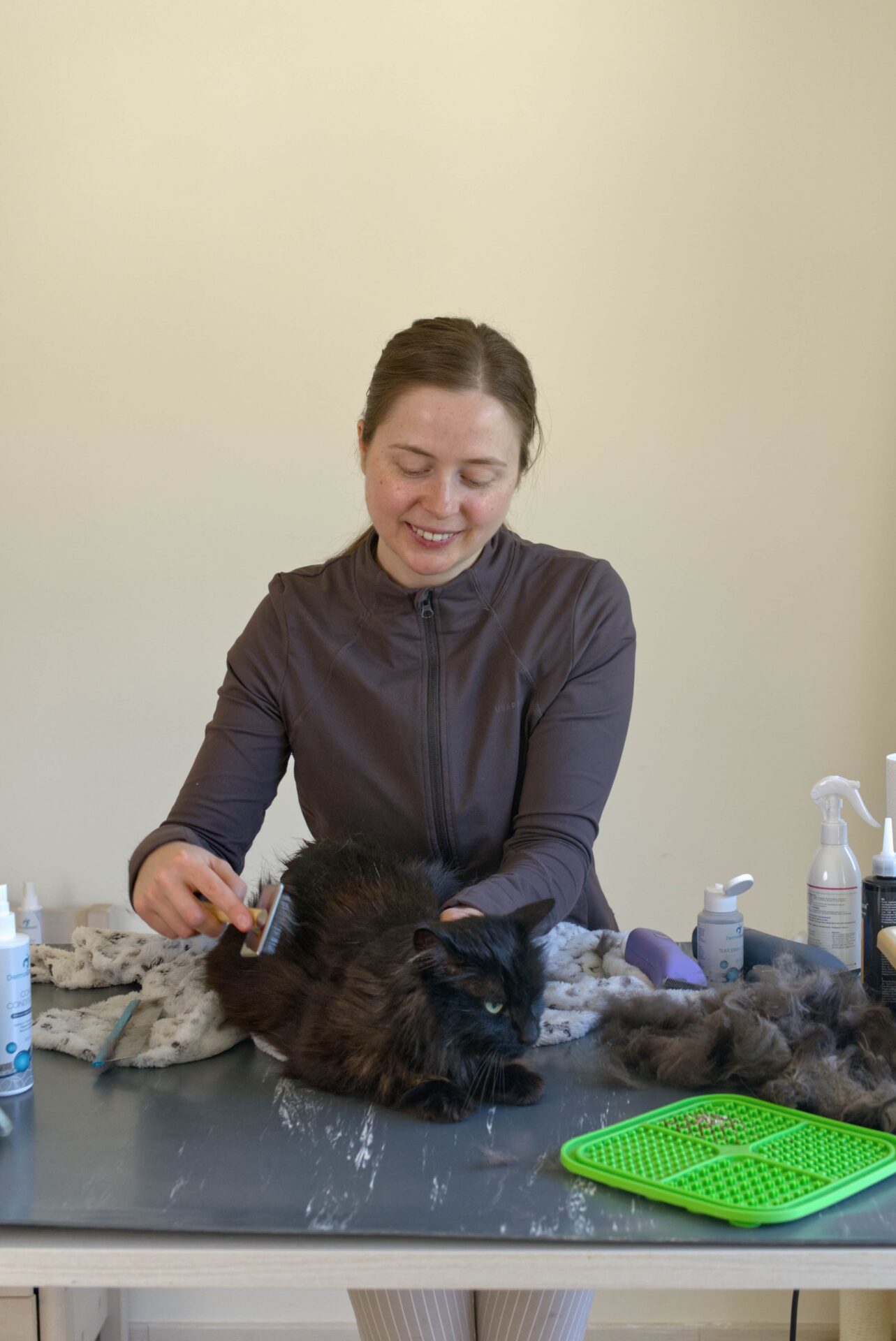 Zuma bij kattentrimster-kattentrimsalon-te-Aalter